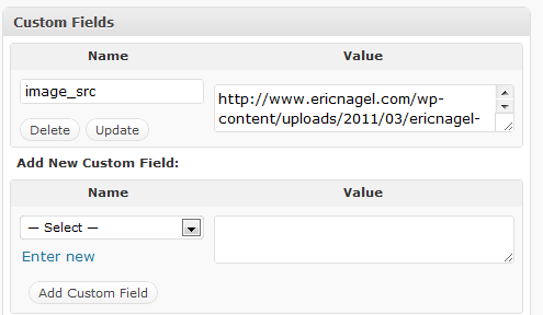 Thesis custom fields