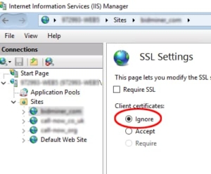Ignore Client Certificates IIS